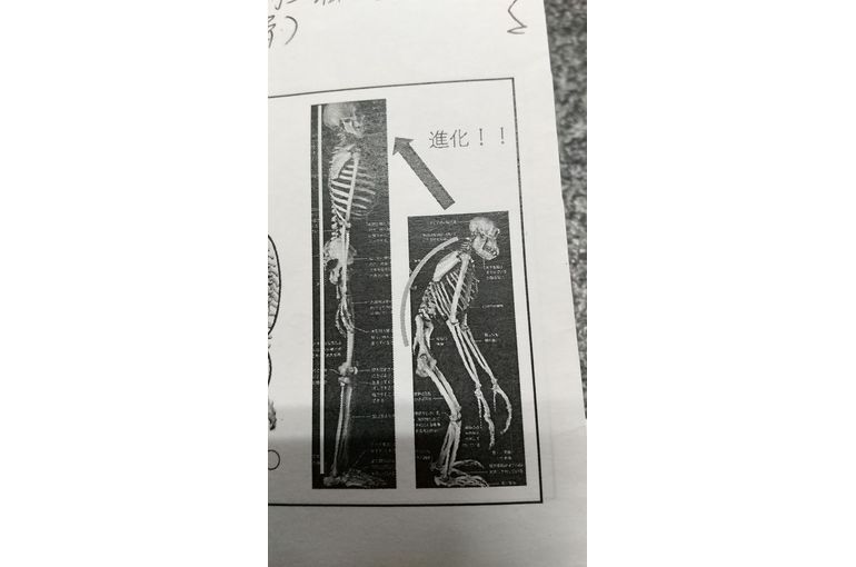 社交ダンスのレッスン中で顔を上げてって言われた時！