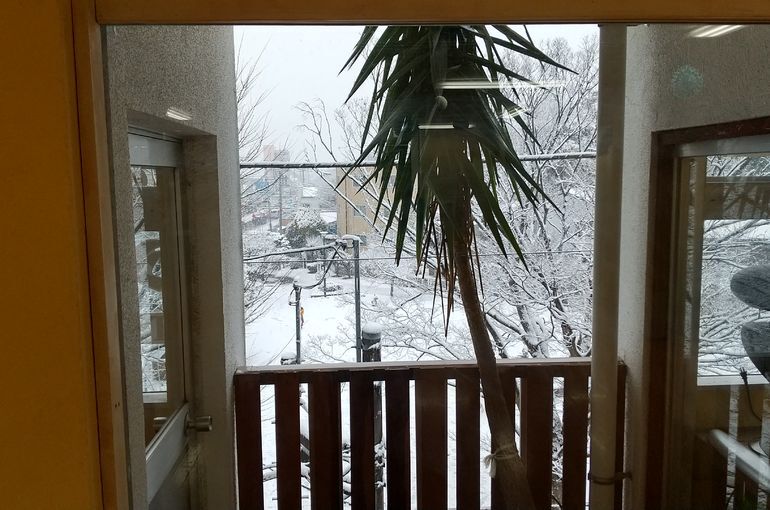 雪中特別練習実施中！